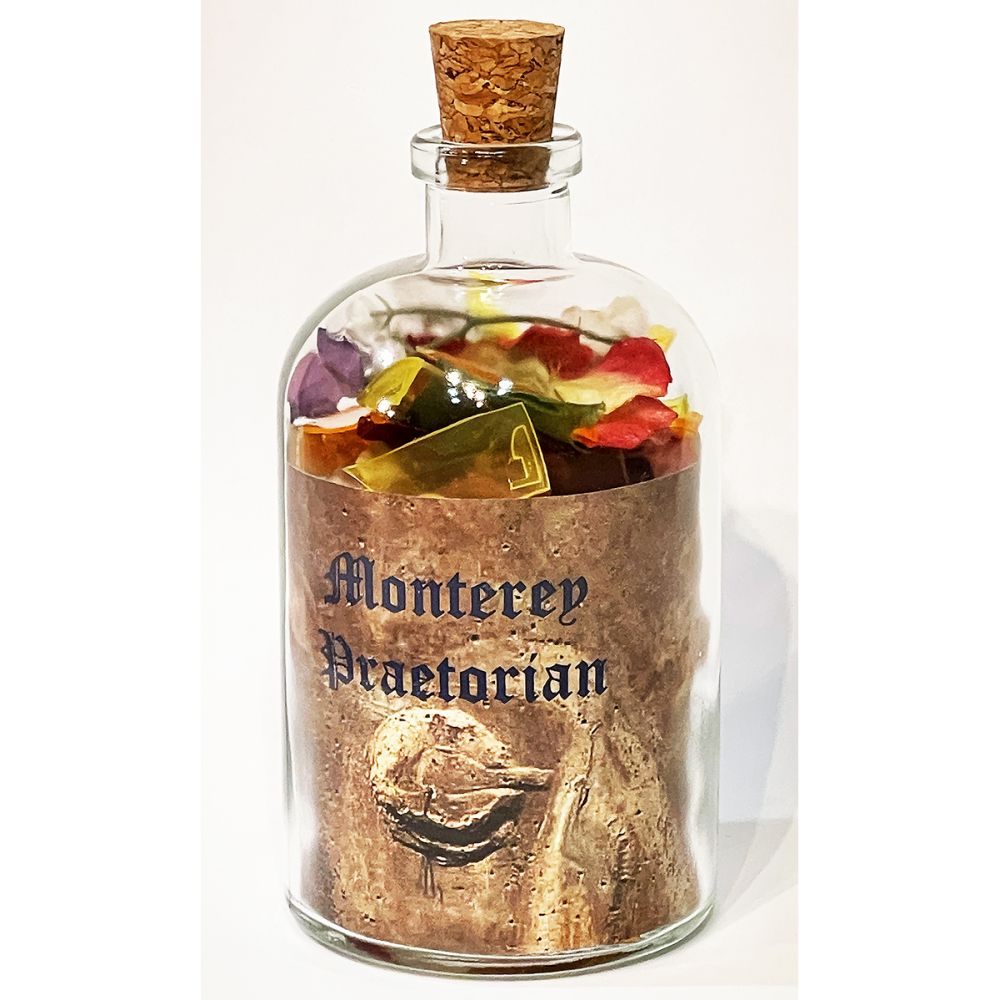 <br/>Monterey Praetorian, 10/10/2025<br/>Apx 6½" x 3" x 3"<br/>glass, paper, ink, cork, plastic and cloth